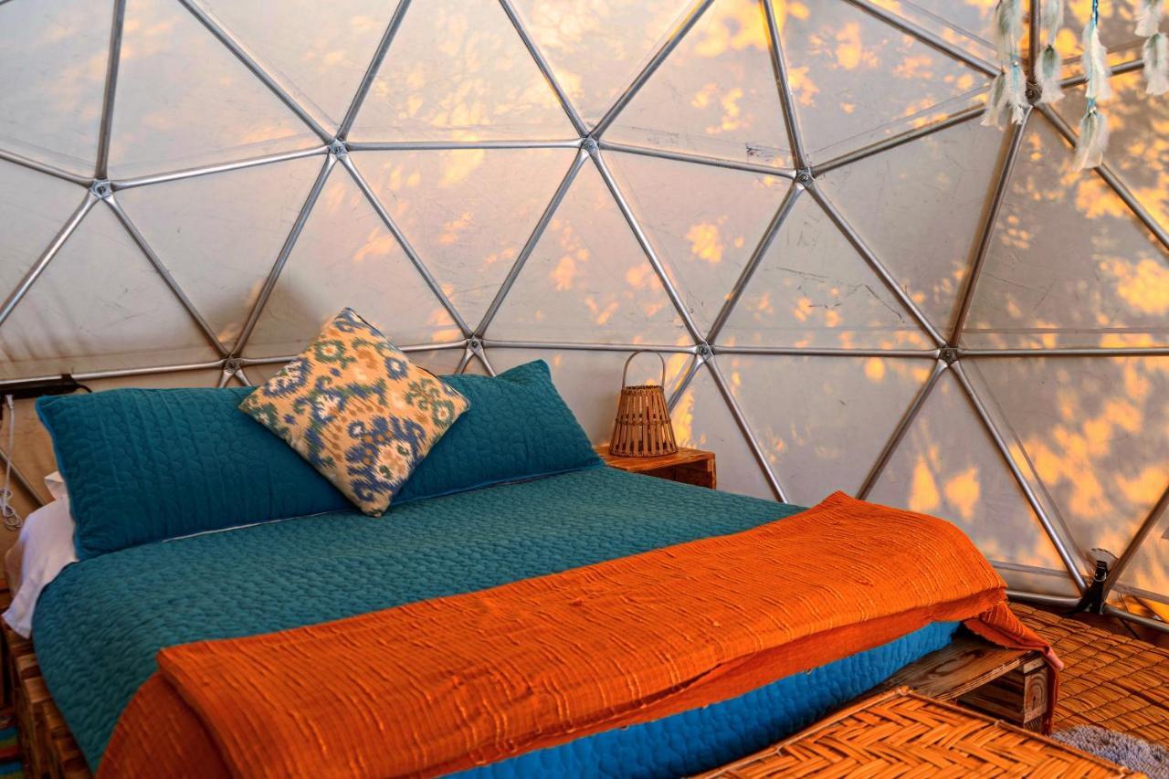 Alma De Campo Glamping - Laguna De 수에스카 외부 사진