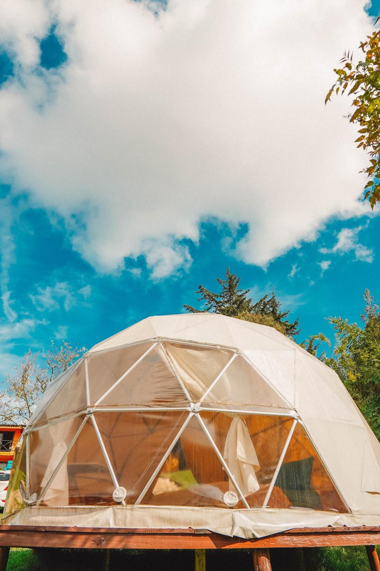 Alma De Campo Glamping - Laguna De 수에스카 외부 사진