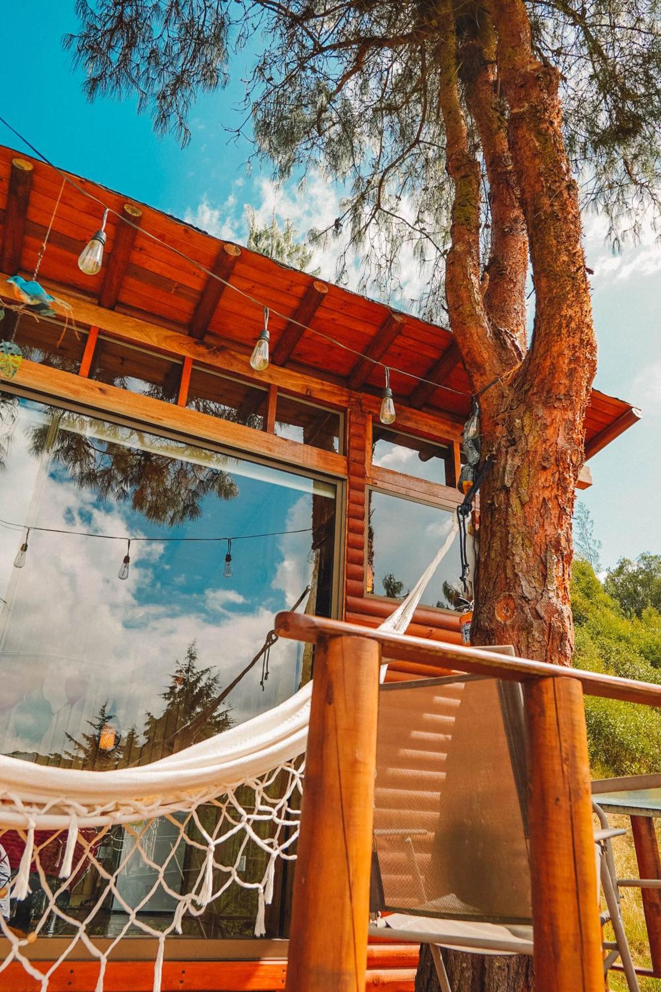 Alma De Campo Glamping - Laguna De 수에스카 외부 사진
